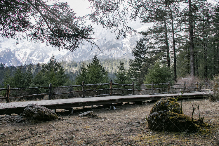 自然风景云雾雪峰森林摄影图