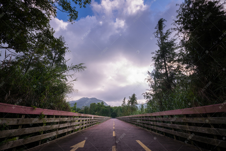 道路美景树木摄影图