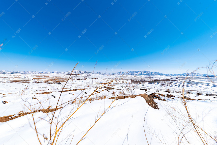 冬季草原冰雪覆盖摄影图