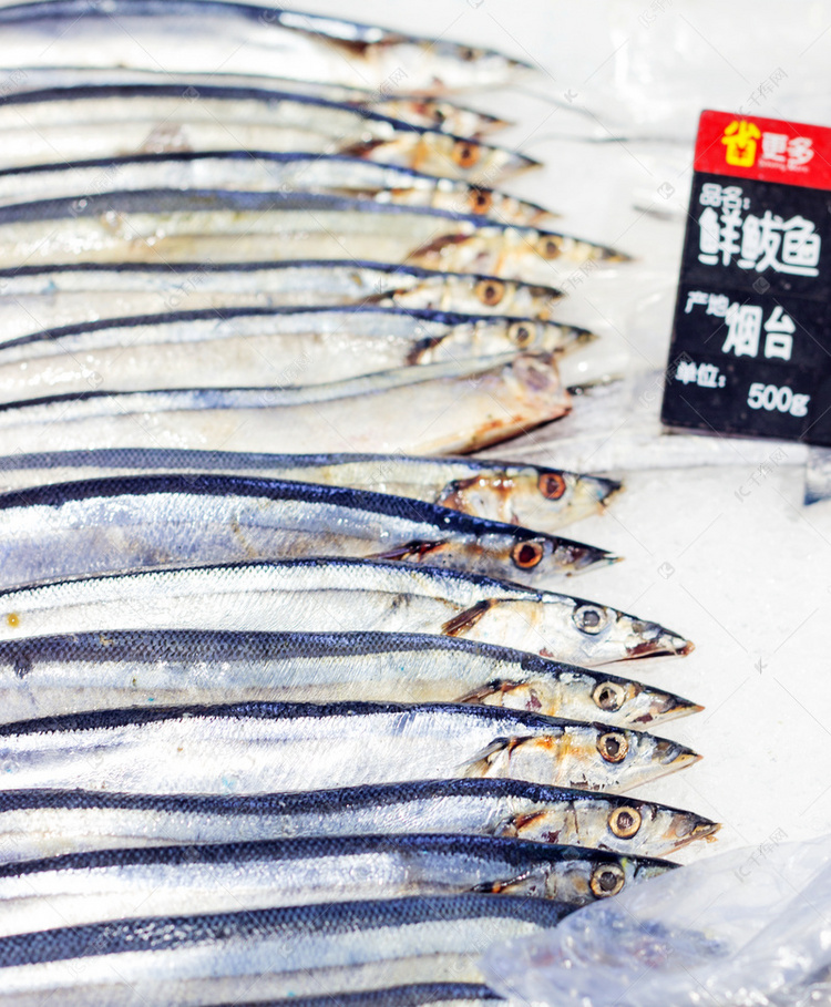 海鲜鲅鱼摄影图