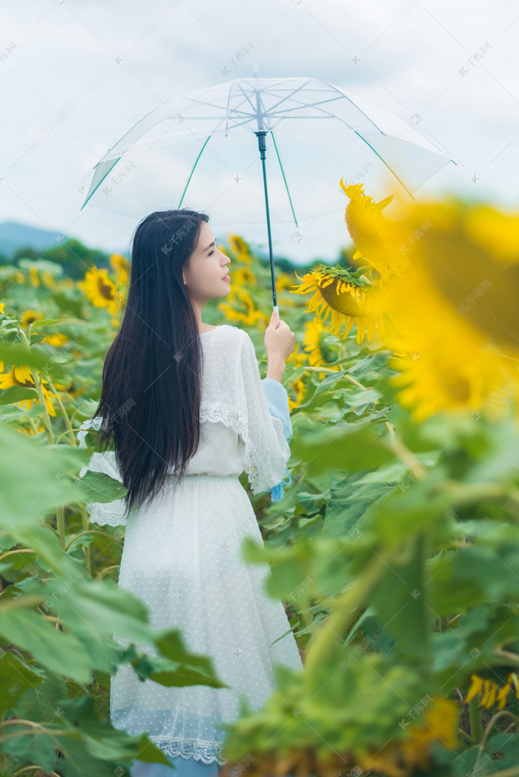 少女撑着伞在向日葵花海里漫步