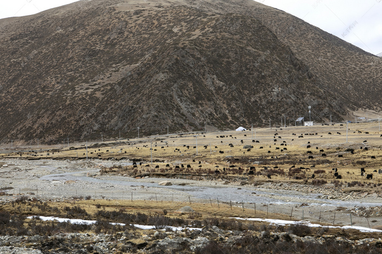 西藏山谷河谷摄影图