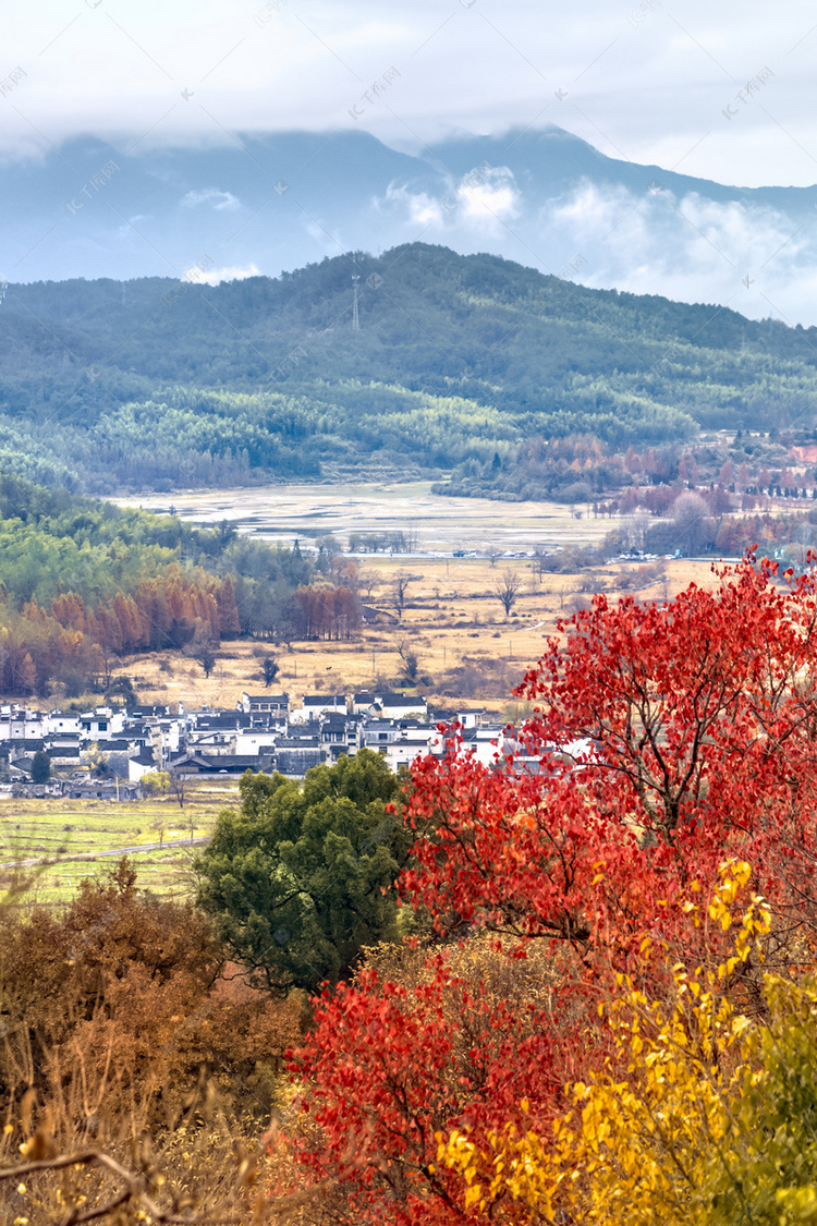 村庄红叶和山脉摄影图