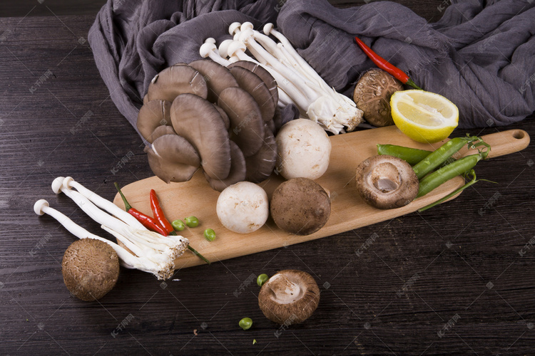 菌菇蔬菜摄影图