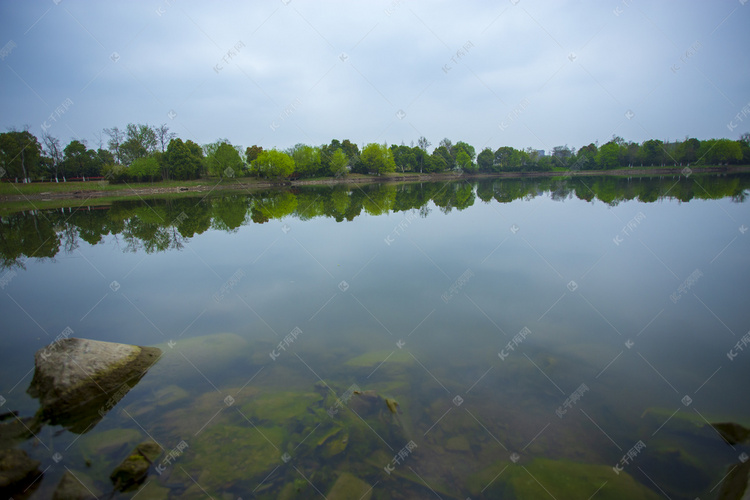 公园树木湖水倒影风景摄影图