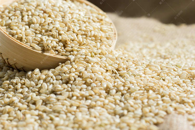 糙米杂粮摄影图