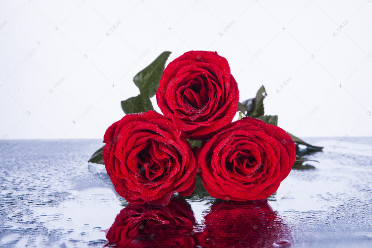 三朵鲜艳红色玫瑰花摄影图