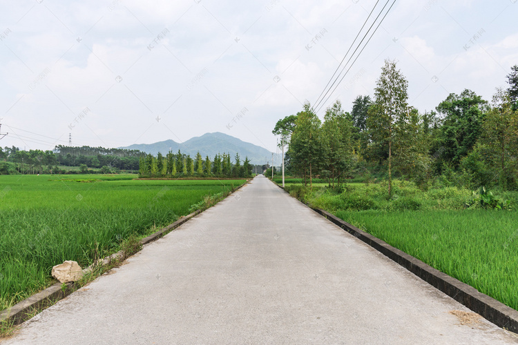 乡村道路农村田野摄影图