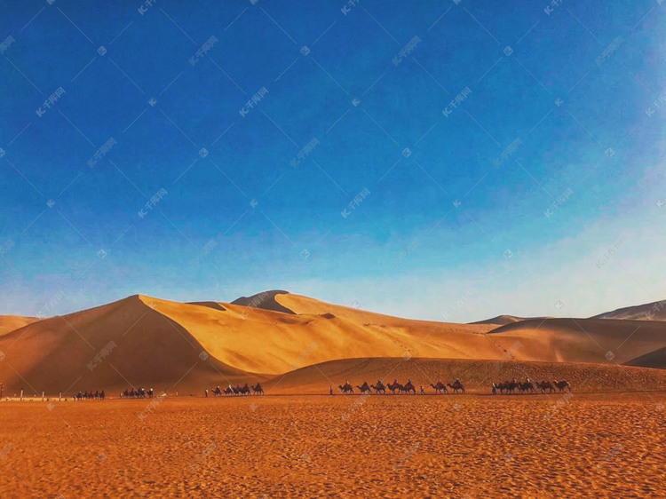 沙漠里的驼队摄影图