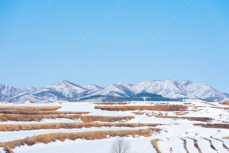 蓝天下被白雪覆盖梯田摄影图