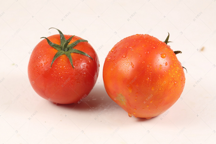 新鲜西红柿摄影图