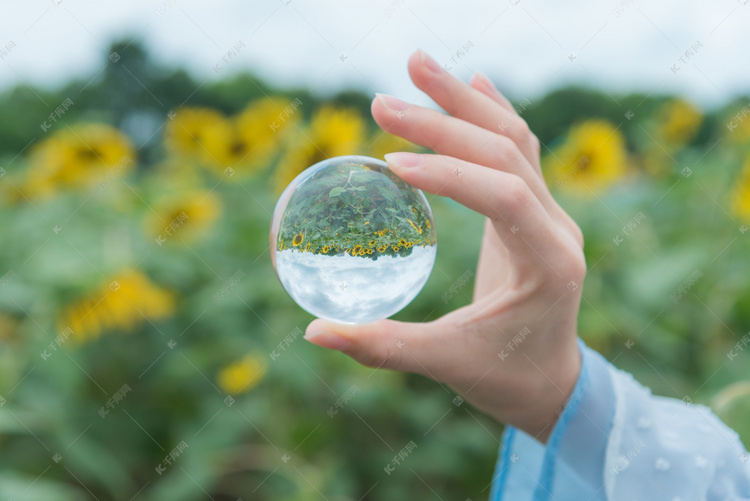 玻璃球中向日葵摄影图