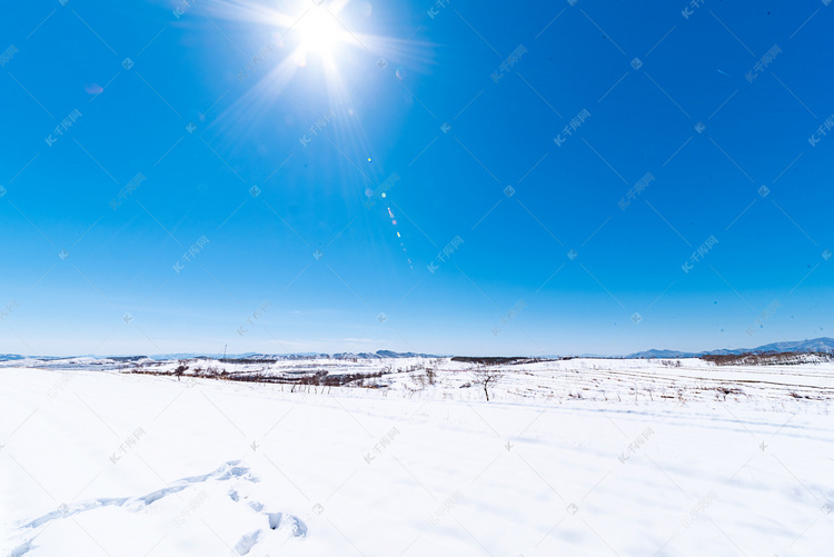 阳光下雪地美景摄影图