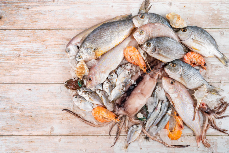 油叶鱼白天油叶鱼海鲜深海鱼室内油叶鱼摄影图配图