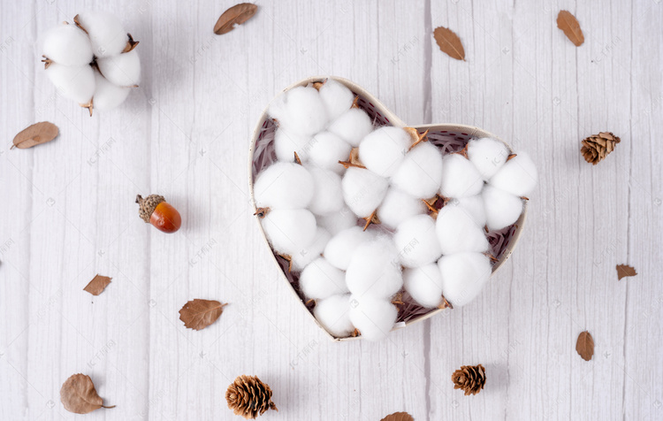 棉花纯棉新疆原料纺织棉絮摄影图配图