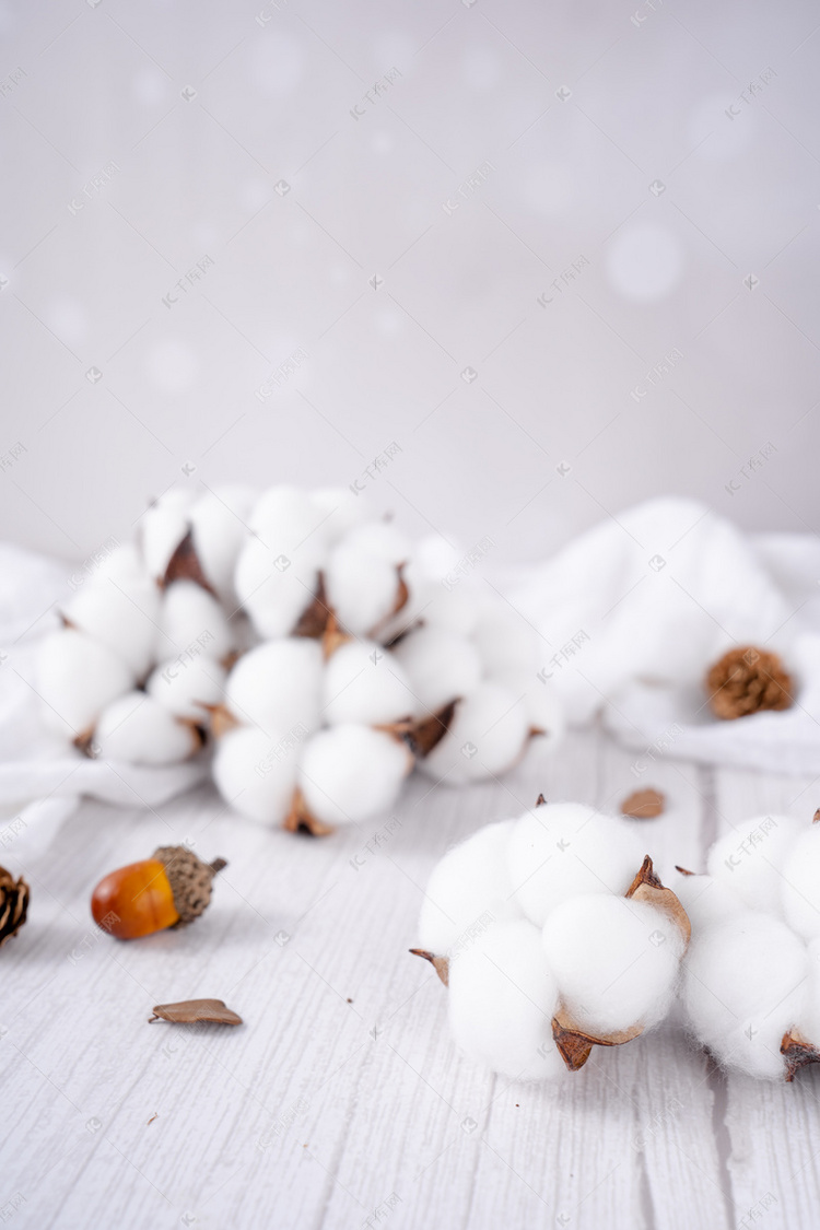 棉花原料新疆纯棉棉絮摄影图配图