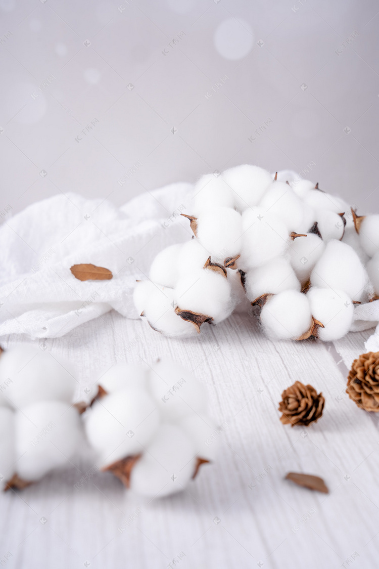 棉絮纯棉原料新疆棉花摄影图配图
