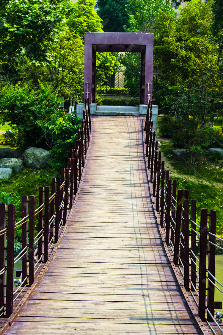 夏天四川成都的城市风光