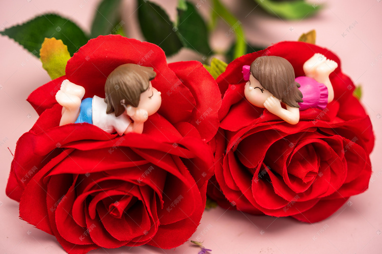 520情人节早上玫瑰花室内相爱