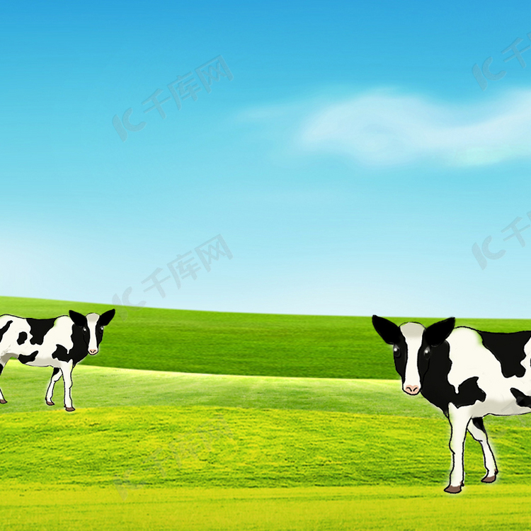 奶牛绿茵草原风景背影主图