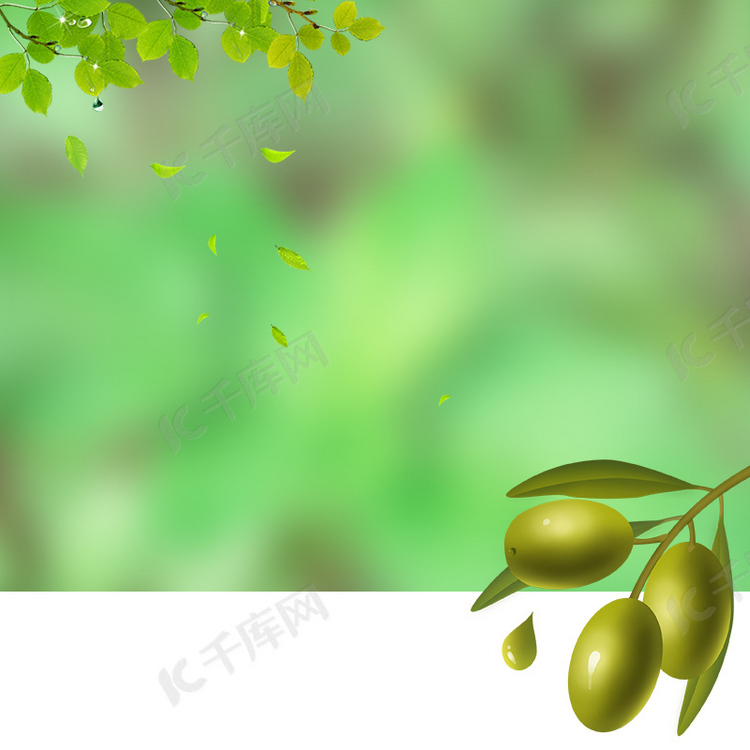 橄榄植物背景促销主图