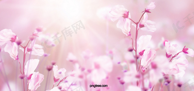 粉色创意春天花朵背景