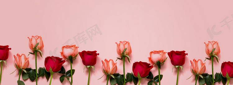 简约浪漫唯美鲜花玫瑰花底纹海报