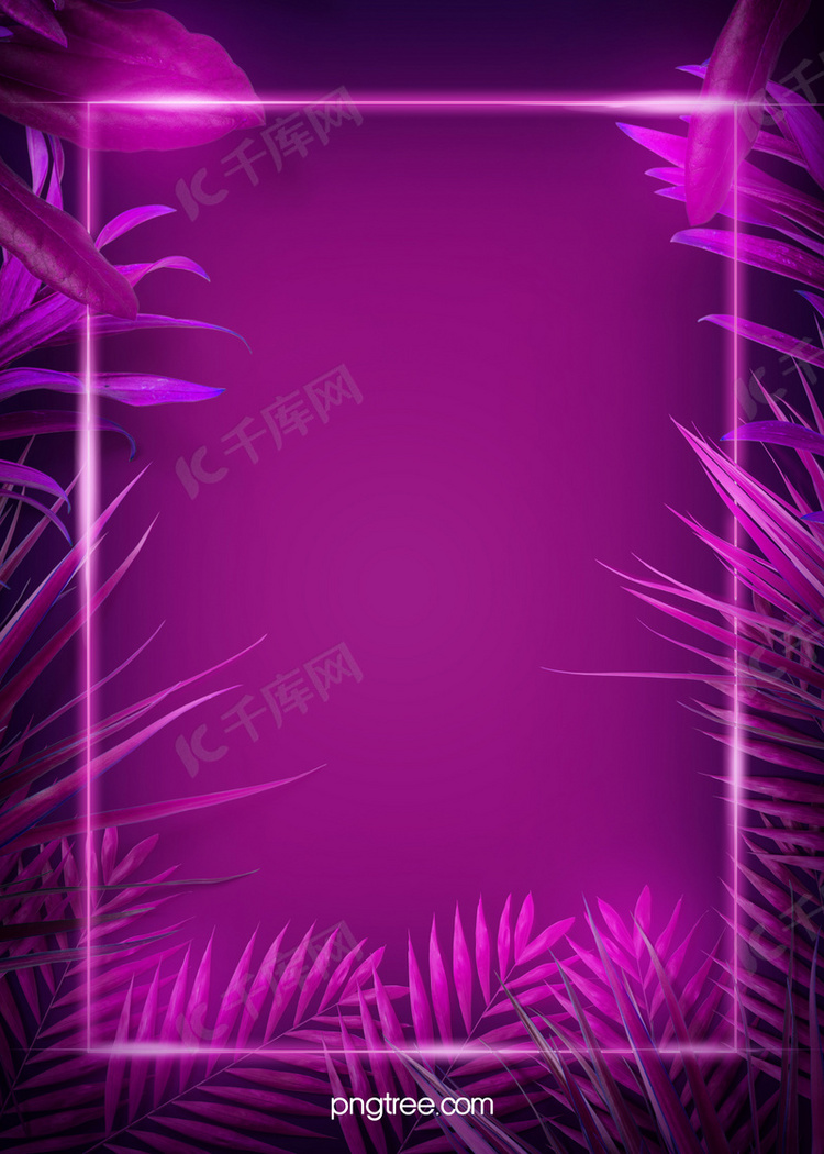 发光霓虹热带植物方框光线紫色背