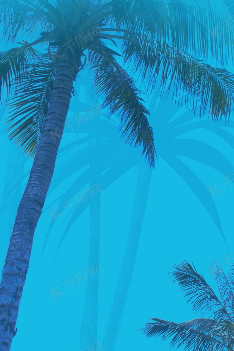 夏日清新椰子树蓝色背景海报