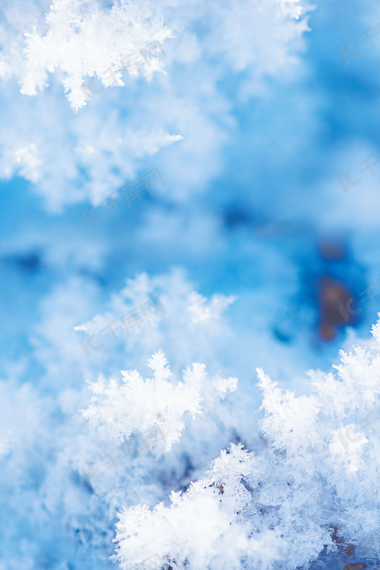 霜降传统二十四节气背景图片