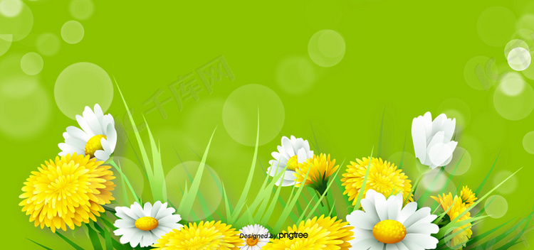 春天的花朵花卉植物绿色活力背景