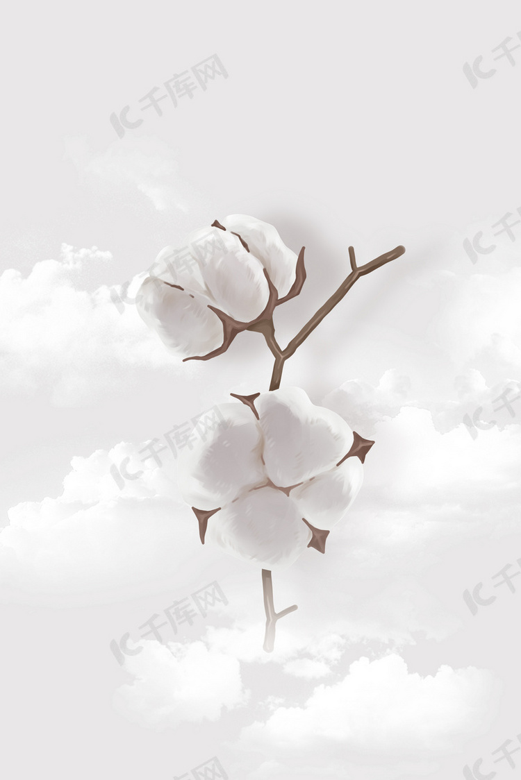 棉花棉花灰色简约