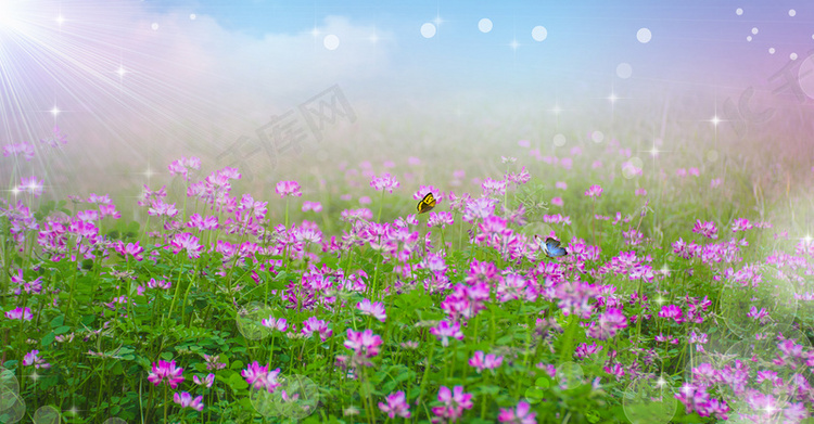 简约花海唯美创意背景