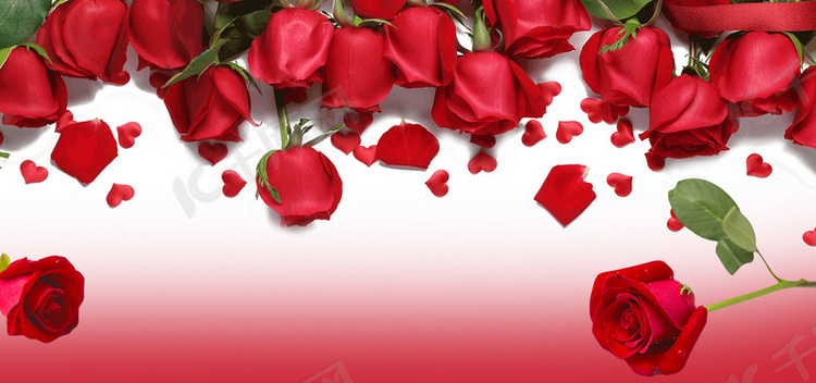 红色玫瑰花海报背景