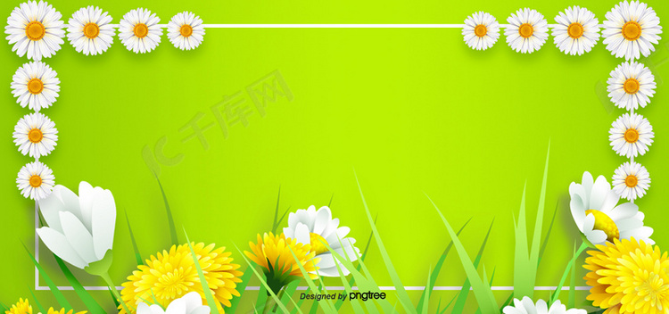 绿色渐变植物草丛花朵白花大自然