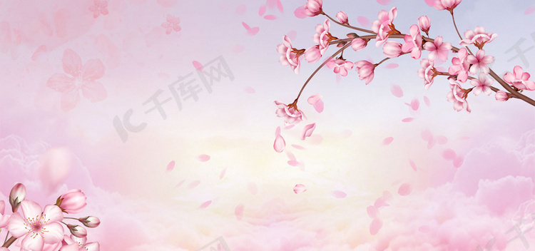 春天樱花花卉粉色