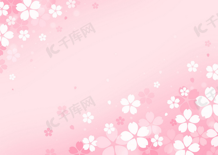 美丽温馨粉红白色樱花渐变背景