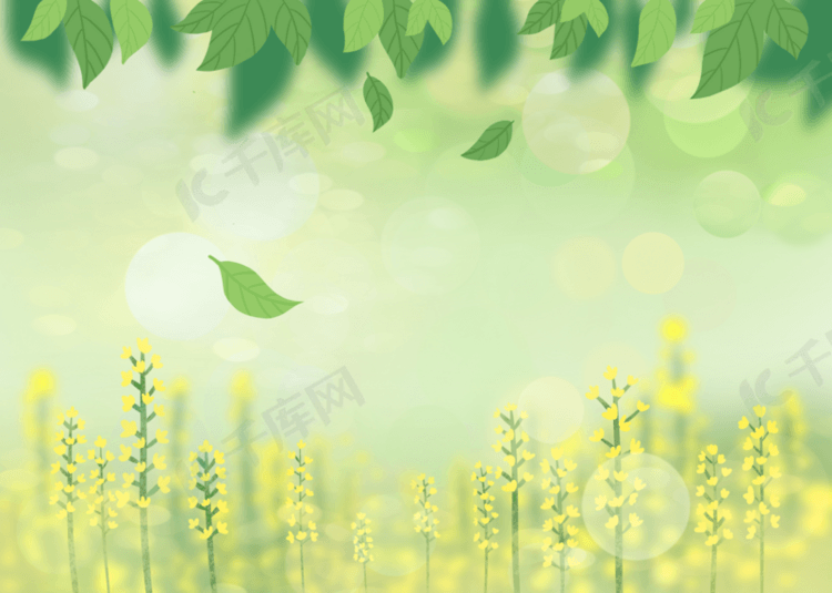 绿色春天油菜花背景