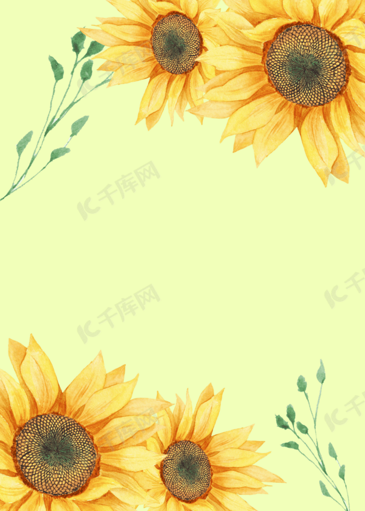 花卉黄色向日葵背景
