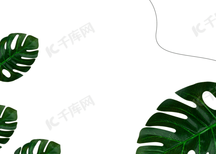 白色绿色植物线条背景