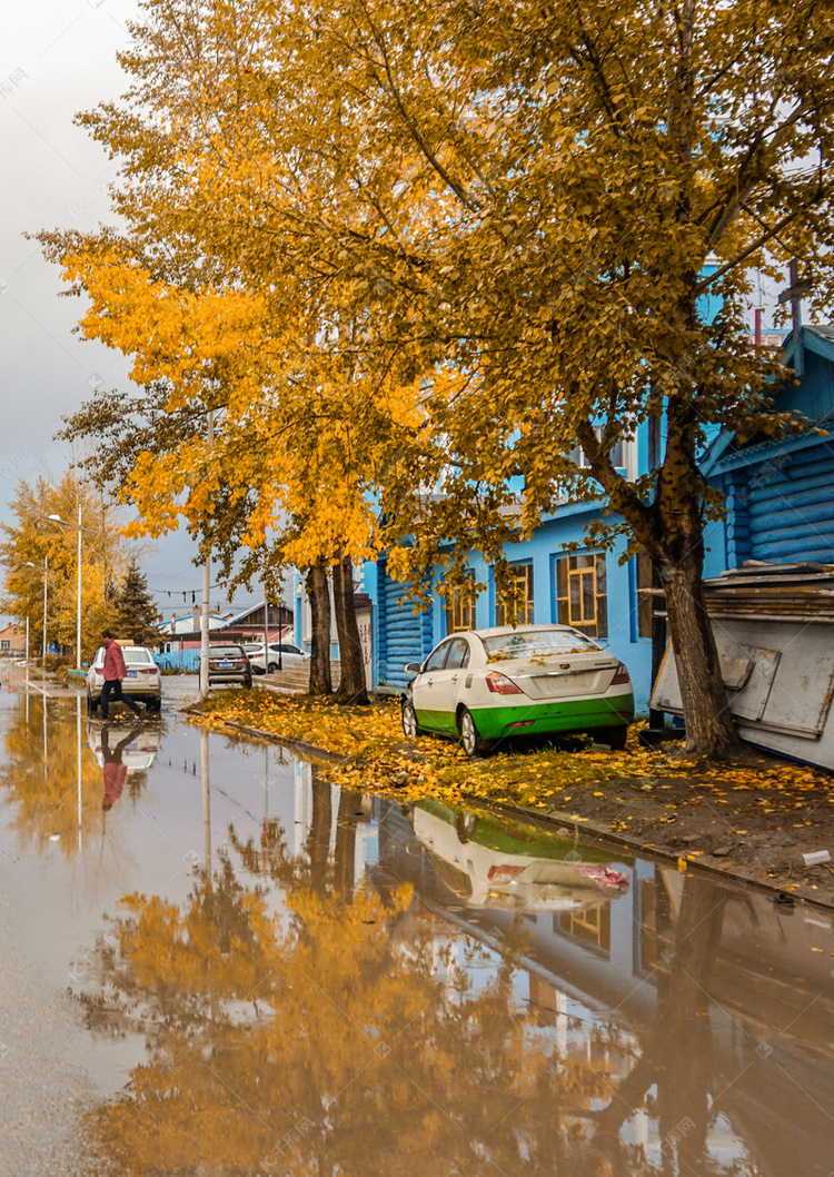 风景自然秋雨树木街道下雨摄影图配图