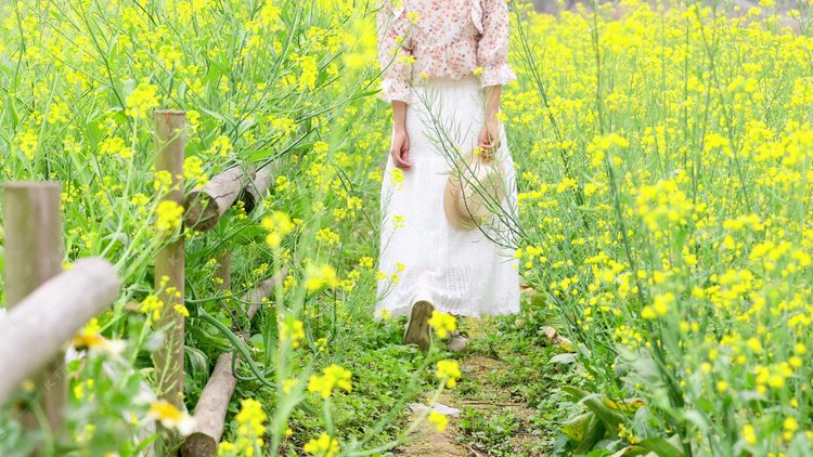 春天踏青实拍女生走在油菜花田背景