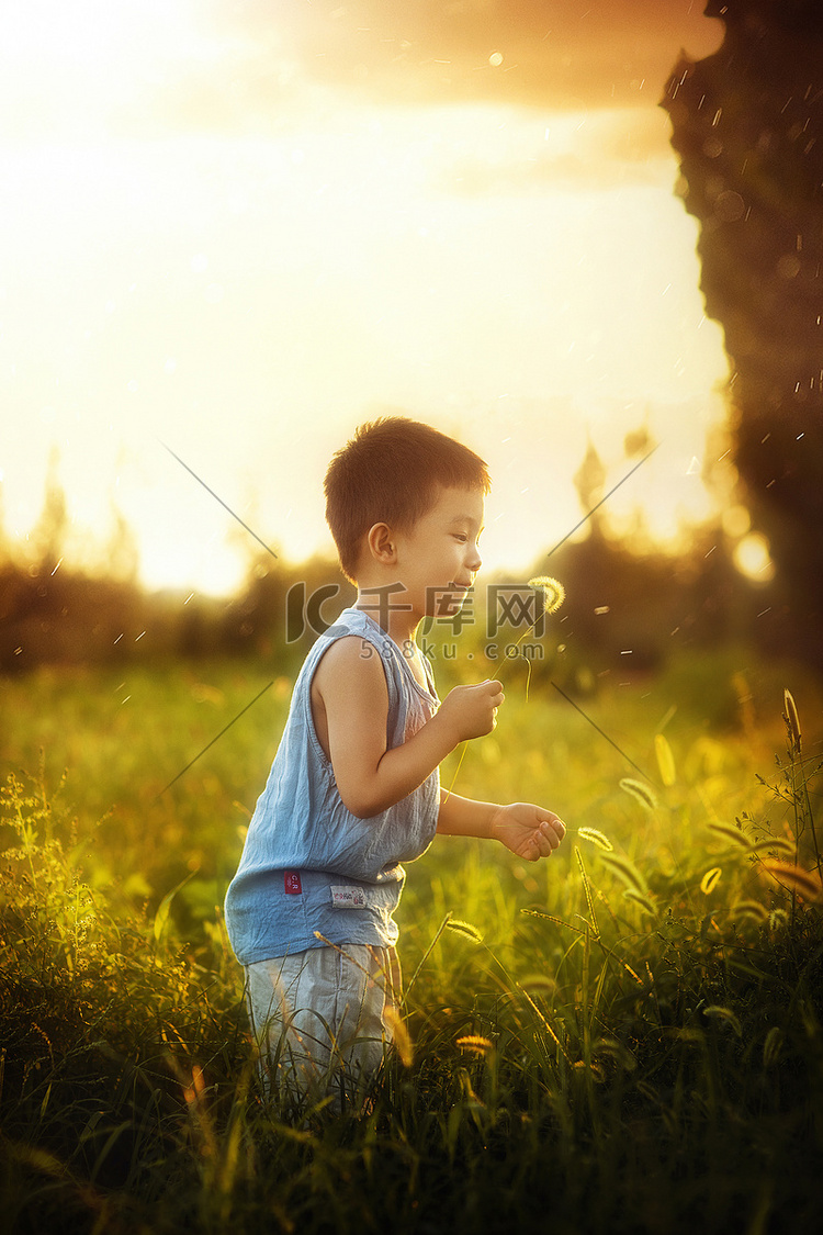 夏天夕阳下草地里小男孩摄影图