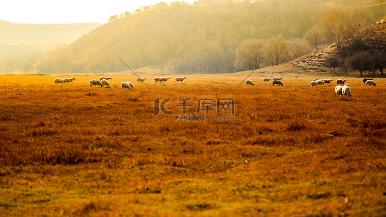 秋季草原摄影图