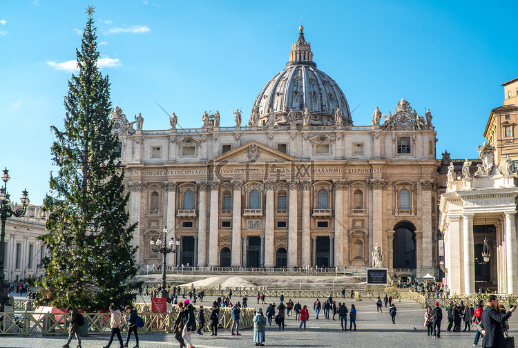 梵蒂冈主教堂与圣诞树摄影图