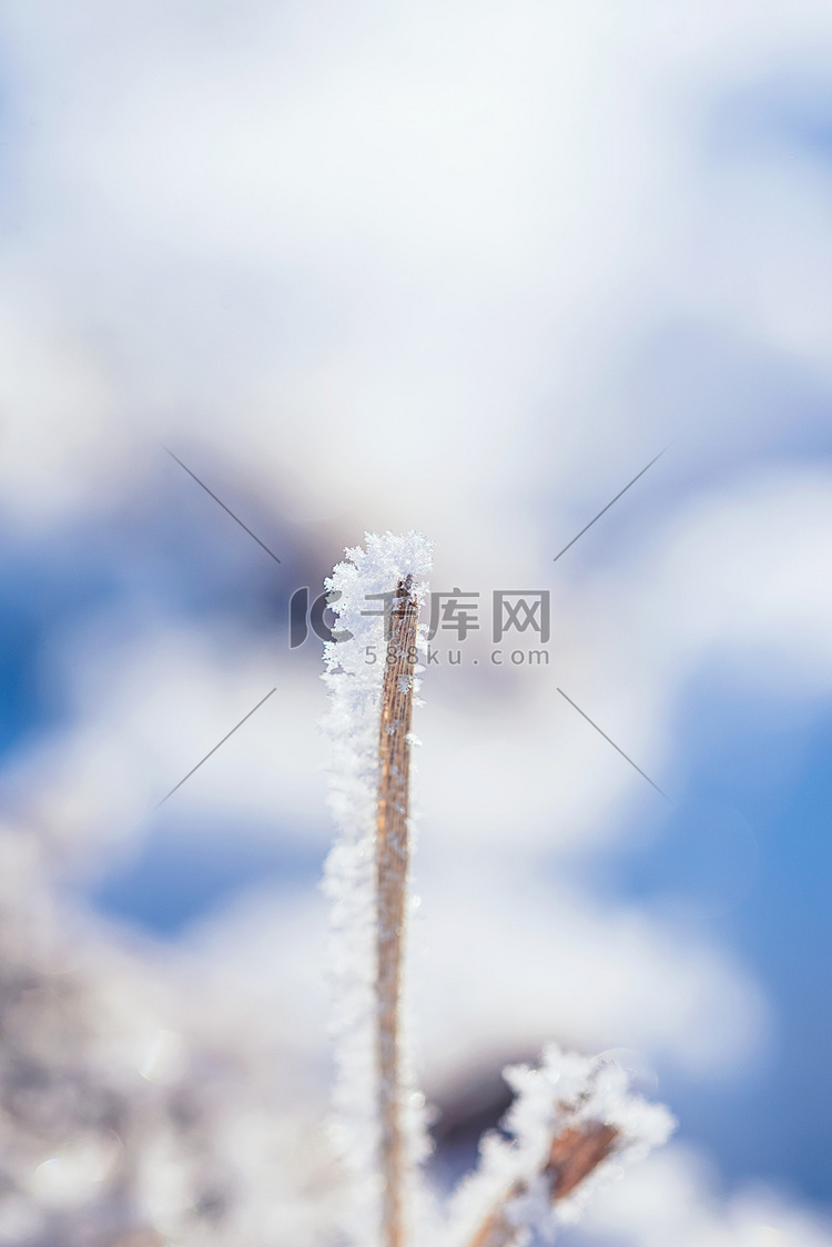 冬天立冬雪景摄影图