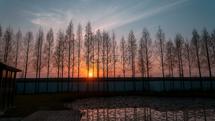 夕阳树木摄影图