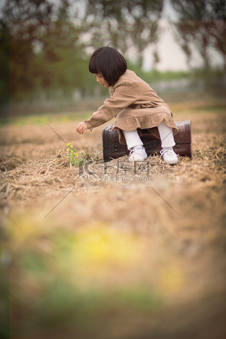 摘花的小女孩