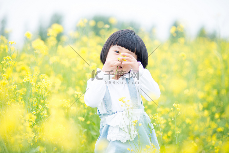 正在油菜花海里玩耍小女孩摄影图