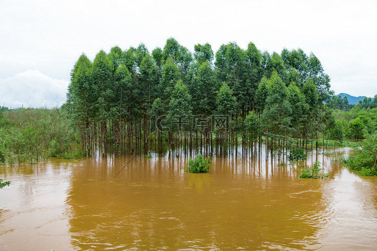 暴雨洪水淹没农田摄影图